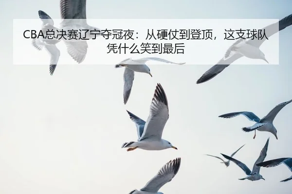 CBA总决赛辽宁夺冠夜：从硬仗到登顶，这支球队凭什么笑到最后